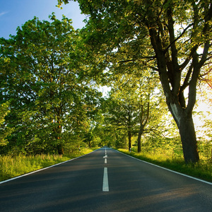 国产AV剧情麻豆md
